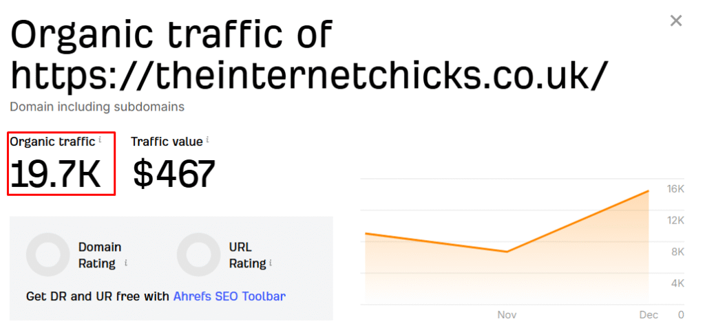 theinternetchicks
