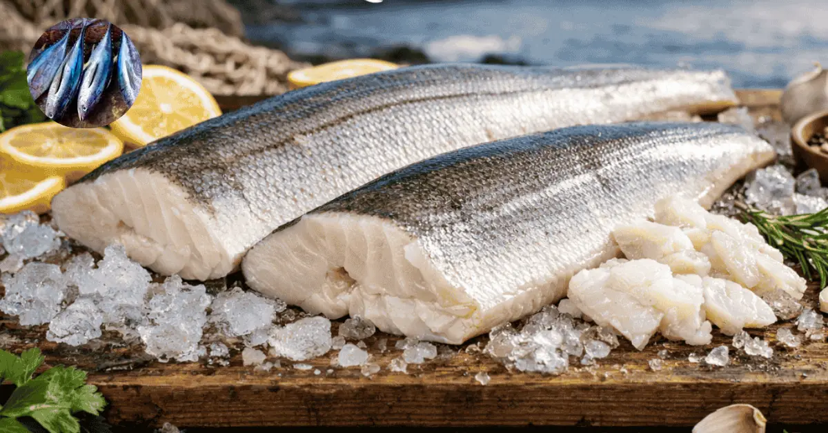 Alaskan Seiti Fish