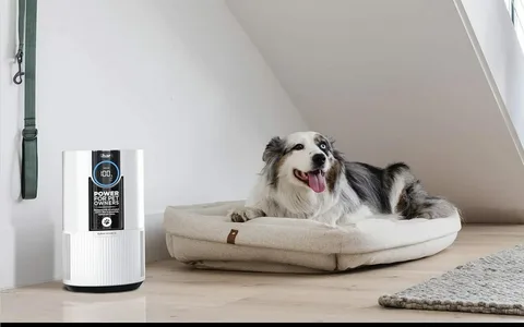 Improve Air Quality with Effective Pet Air Purifiers